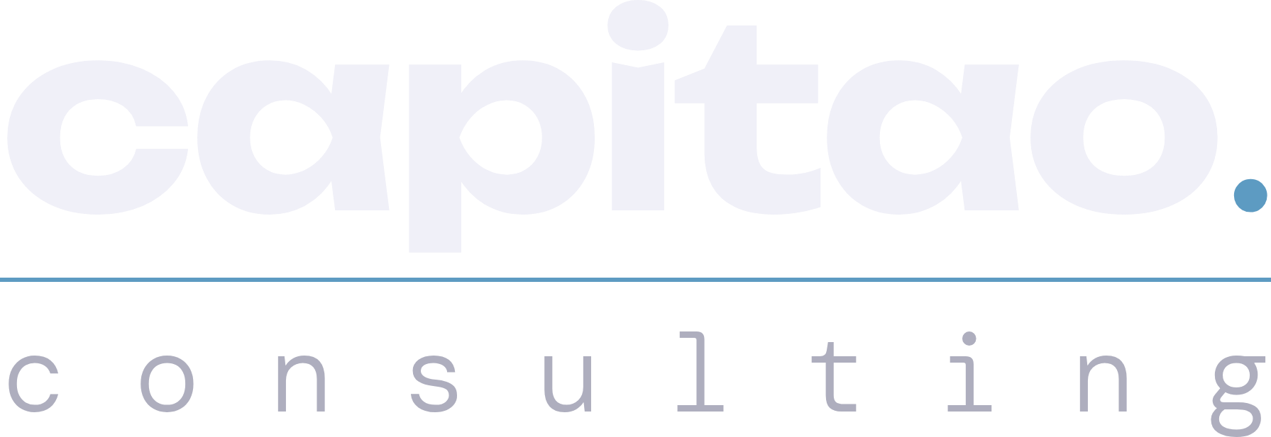 Capitao.Consulting